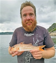 Sensationell ny rekordfisk: mulle / Foto: Storfiskregistret