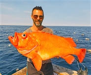 Fantastiskt rekord på större kungsfisk / Foto: Storfiskregistret