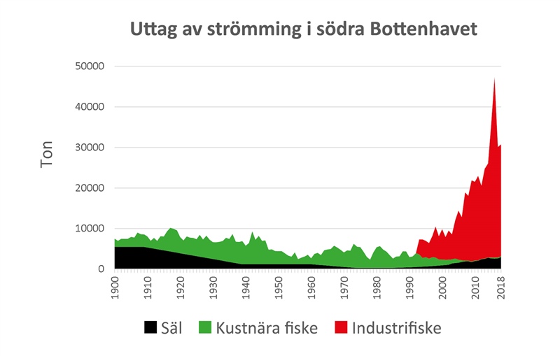 Graf över strömmingsfisket i Bottenhavet