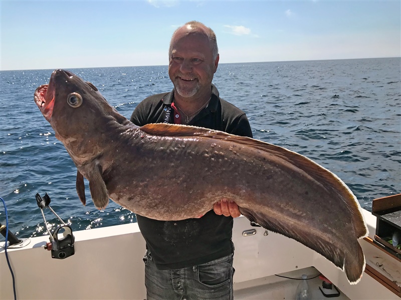 Nytt sportfiskerekord på lubb 2020