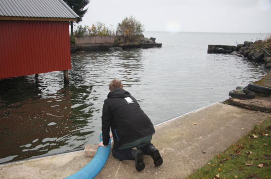 17 000 laxungar utsatta i Vättern