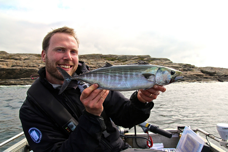 Bonito blir årets fisk