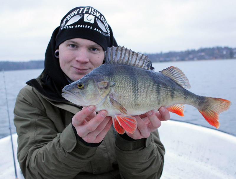 Fiska i Stockholms bästa fiskesjöar för halva priset!