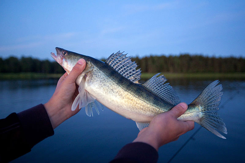 Många nya fiskevatten på Fiskekort.se