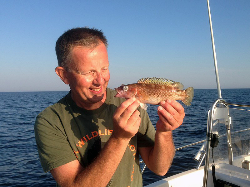 Rekord på fisken brunsnultra – två gånger om