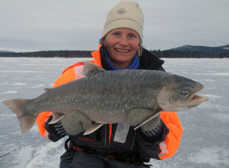 Storrödingsjön Malgomaj, nu på Fiskekort.se