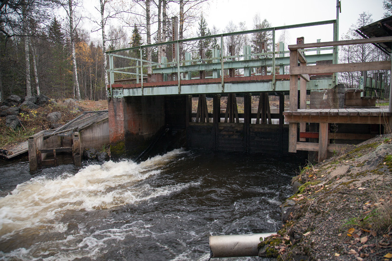 Mångmiljonprojekt ska restaurera Hamrångeån