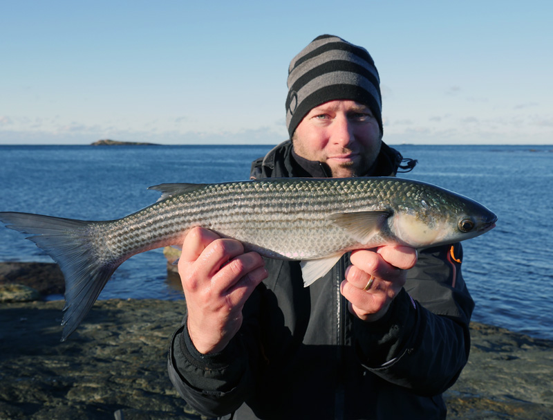 Sportfiskerekord på helt ny art: tunnläppad multe