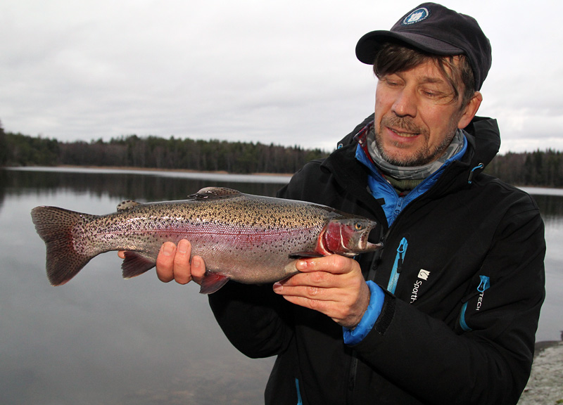 Passa på att fiska regnbåge i Mellansjön