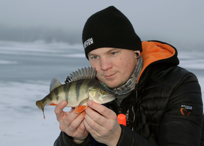 Halva priset på Sportfiskekortet!