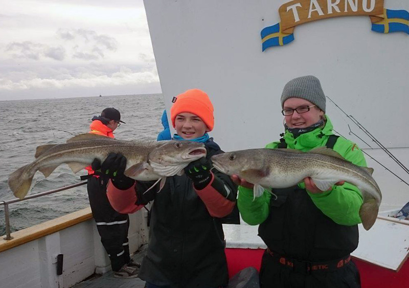 Fiska i Öresund i december!