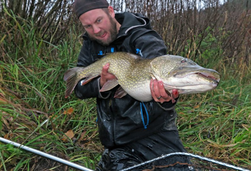 Ta storgäddan på deadbait i vinter!