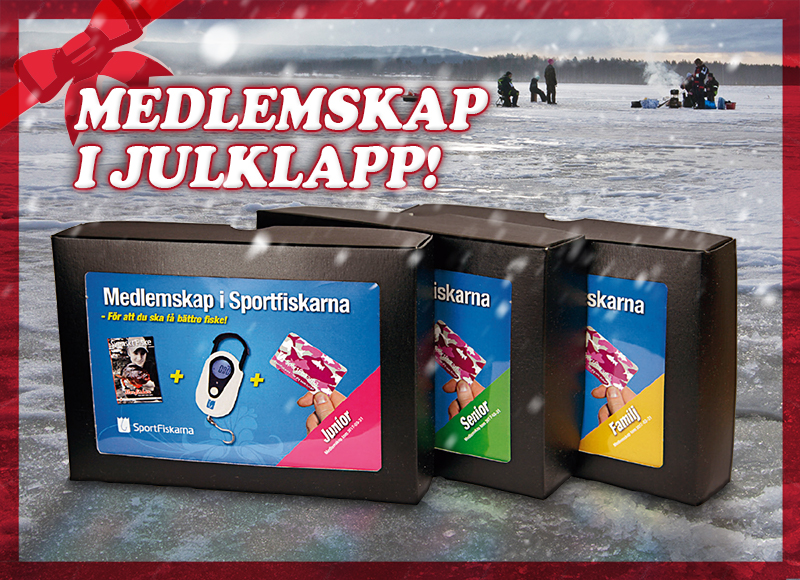 Ge bort ett medlemskap i julklapp