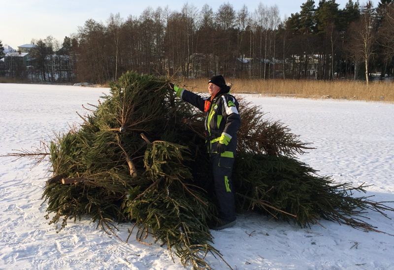 Skänk granen till ett bottenprojekt i Karlstad!