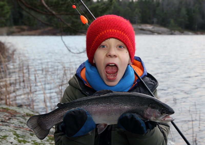 Värmdösjöarna öppna för fiske