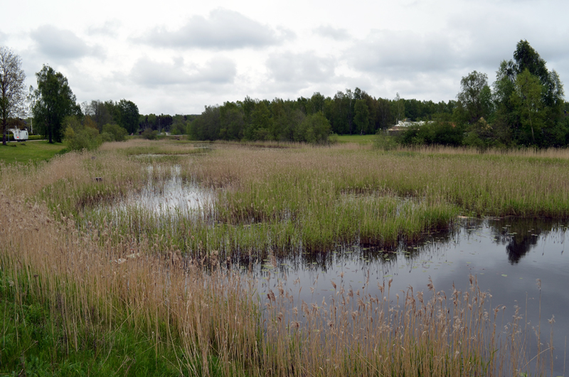 Sportfiskarna överklagar översvämningsskydd i Klarälven