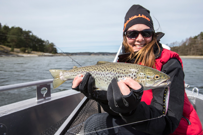 Fjällorna startar lokalavdelning i Värmland