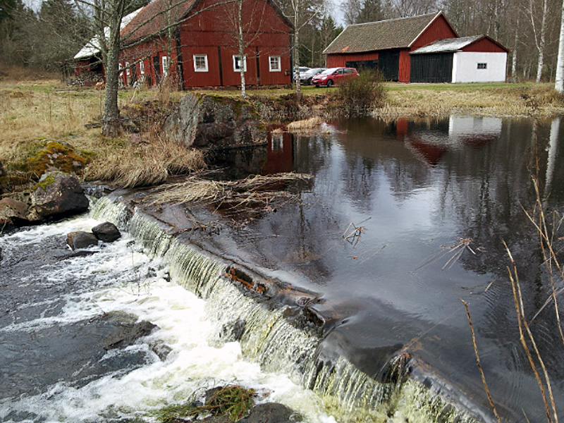 Sportfiskarna jobbar för mer öring i Kalmarsund
