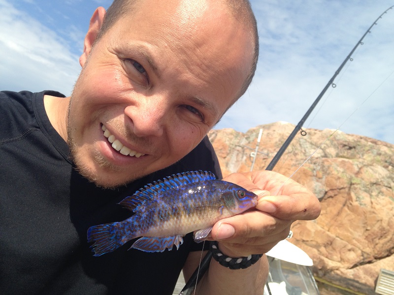 Fisktema på Naturhistoriska inför Vallgravsmetet.