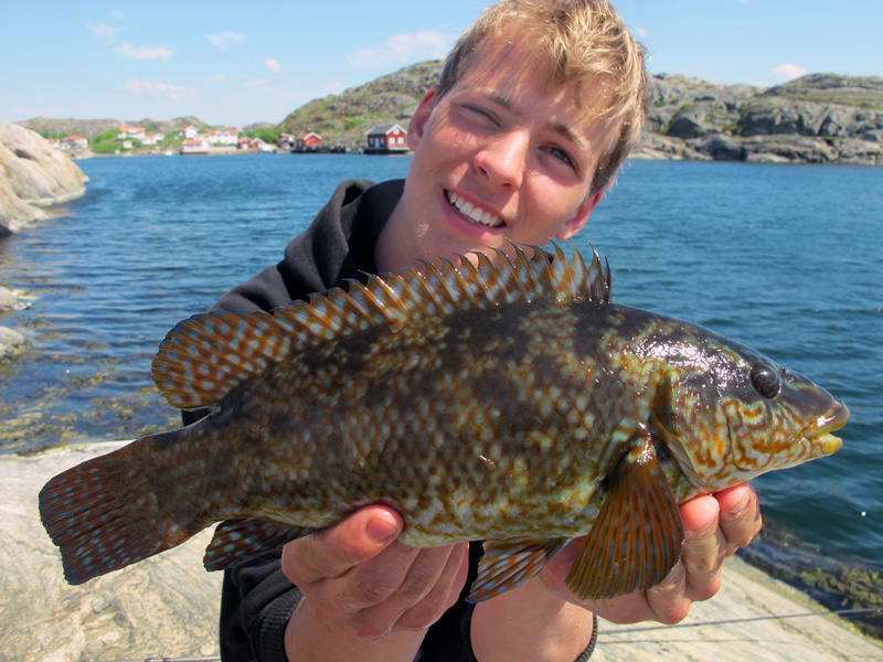 Anmälan till Sommarfiskeskolans kustvecka 2016