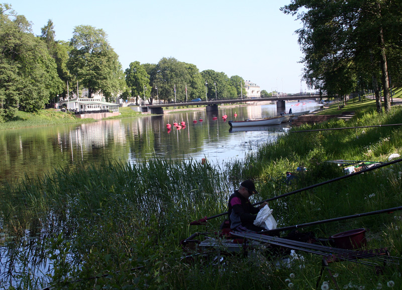 Landslagsuttagning 2016, internationellt mete