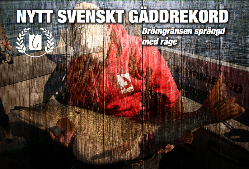 nytt_svenskt_gaddrek...