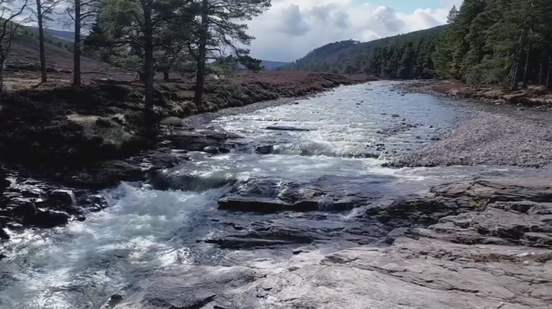 Så blev C&R en guldgruva för River Dee