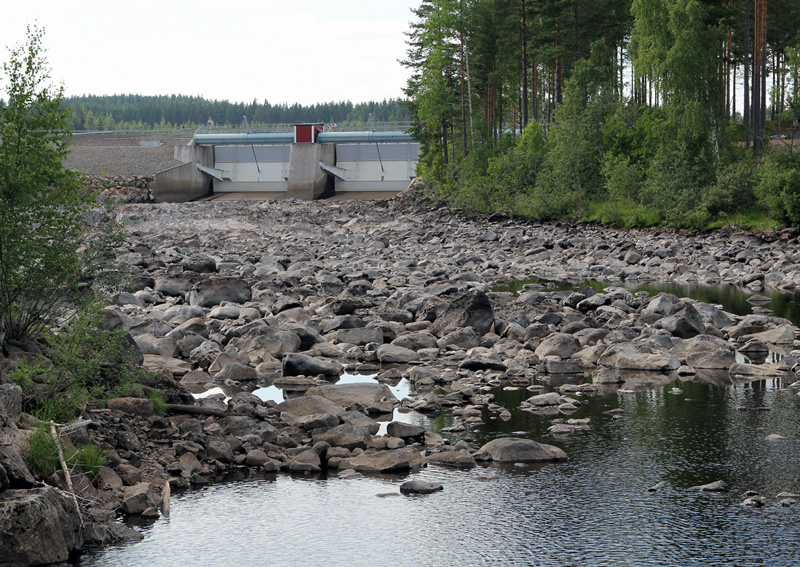 Konferens om fiskvandring i Luleå