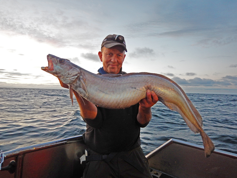 Nya rekordfiskar från havet