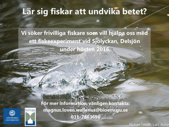 Frivilliga sportfiskare sökes för experiment i Göteborg hösten 2016!