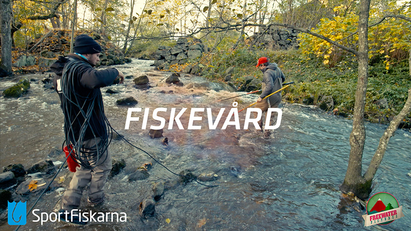 fiskevardsfilmer_800