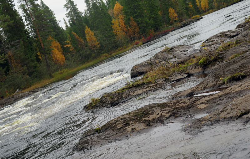 Seger för vattenmiljön: stopp för nytt kraftverk i Ejforsen