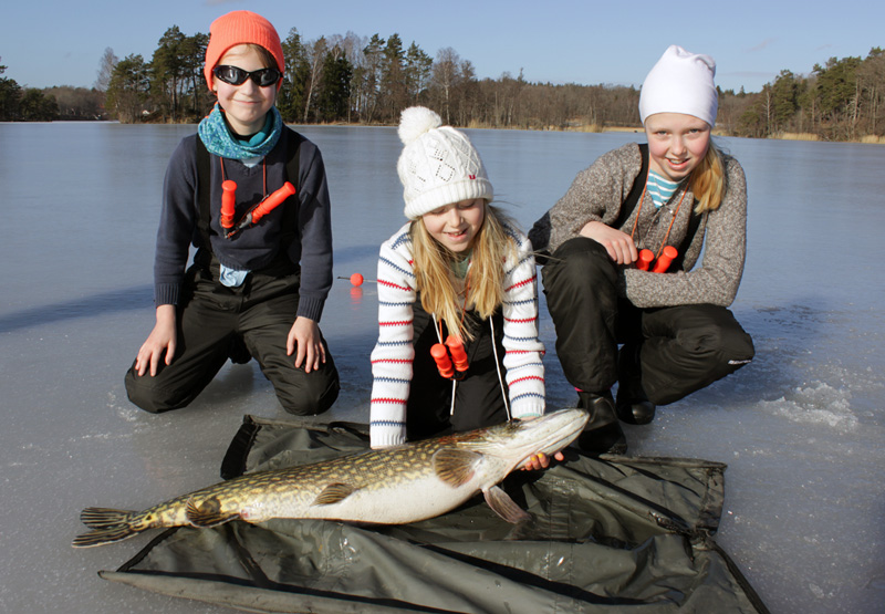 Kom familjefiske på Lommaren i Norrtälje