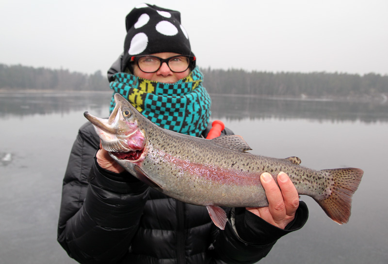 Kanonfiske på Mellansjön!