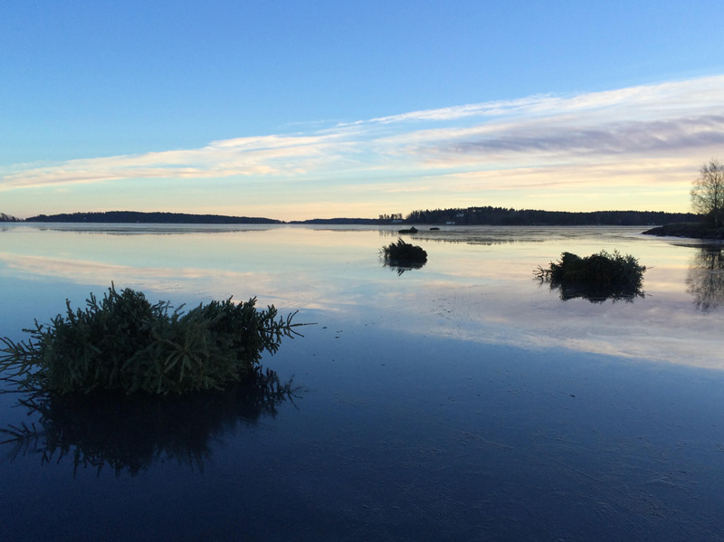 Välkomna på fiskevårdsträff i Forshaga