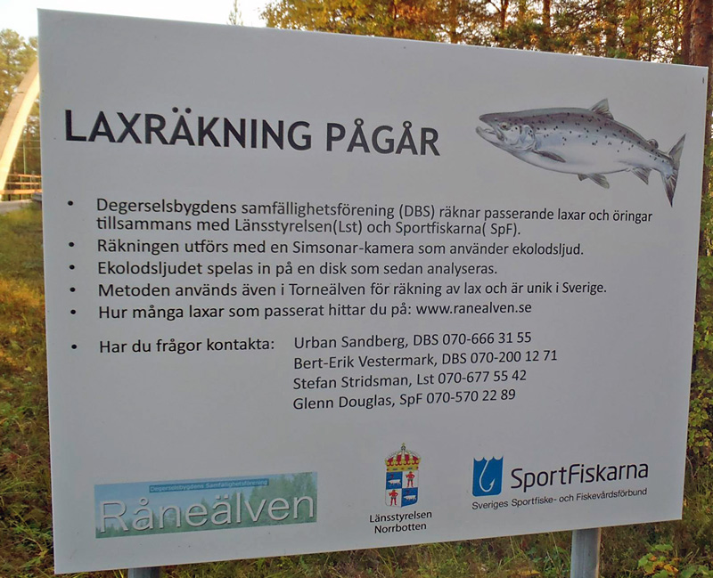 Ny fiskräknare i Råne- och Kalix älv.