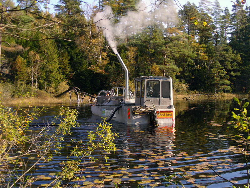 sjokalkning_rolf_800