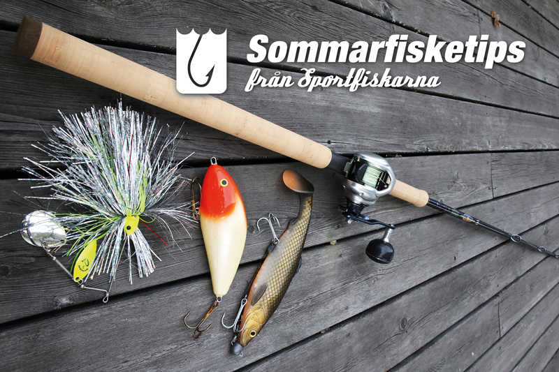 Sommarfisketips med Sportfiskarna