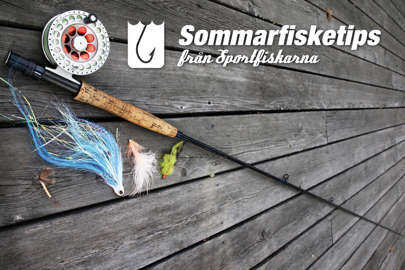 Sommarfisketips från Sportfiskarna - fluga! - Nyheter & aktuellt