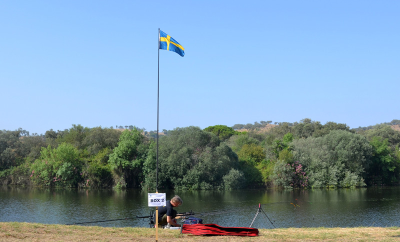 svenska_flaggan_800