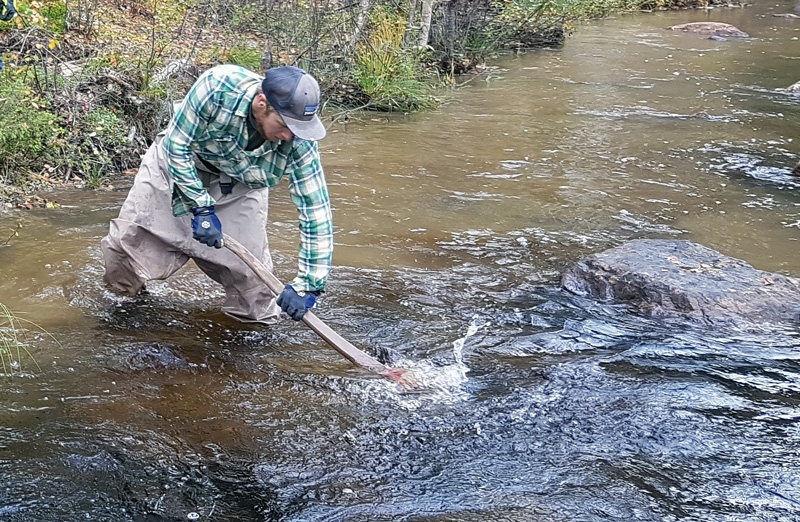 Gefan-pengar omsätts i praktisk fiskevård