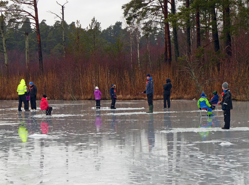 Sandbäckstjärn öppnar igen för fiske