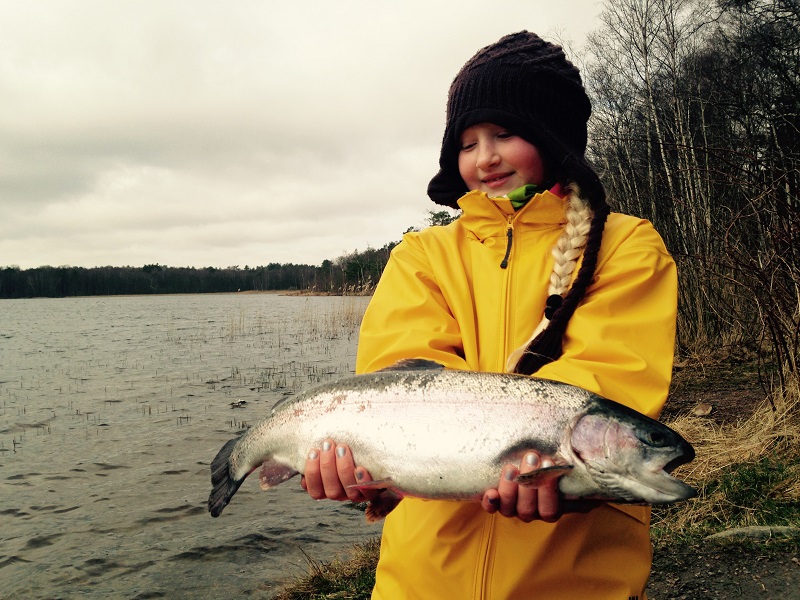 Välkomna att fiska med oss på Höstlovet i Göteborg!