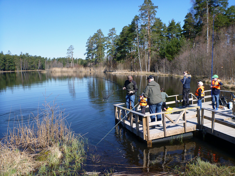 Höstlovfiske i Värmland