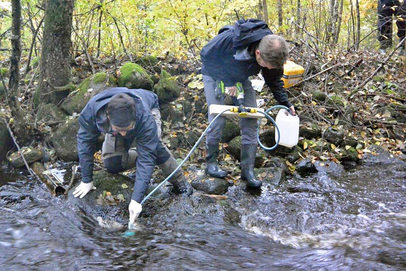 DNA-provtagning -skonsam metod för att leta laxparasit