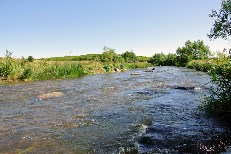 Ja till Rönne å-projektet i Klippans kommun