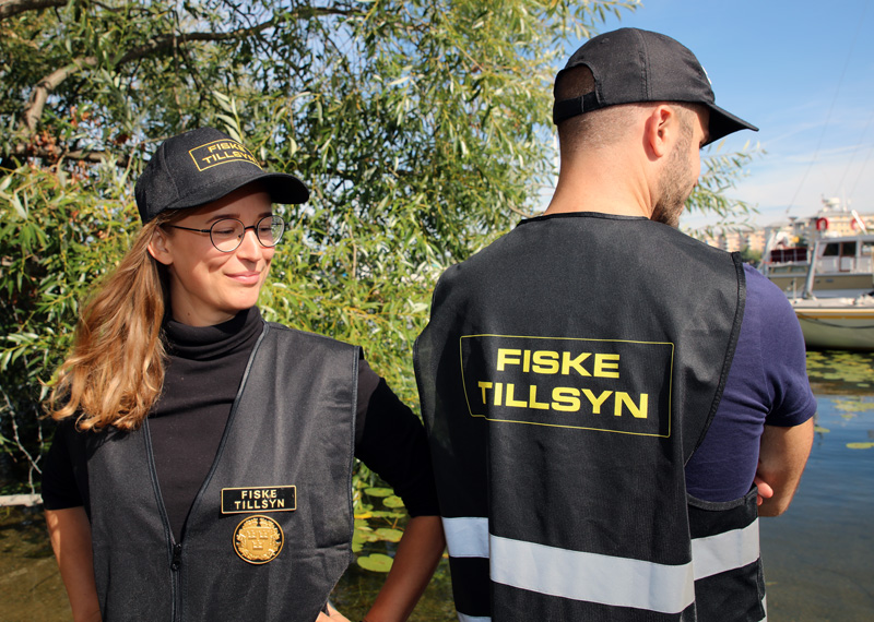 Välkommen att bli tillsynsman i Värmland