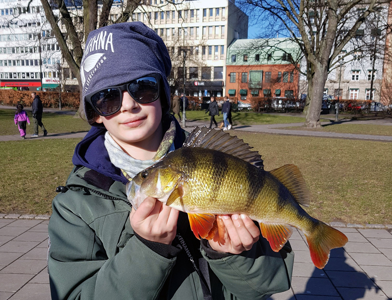 Påsklovfiske i Malmö och Lund