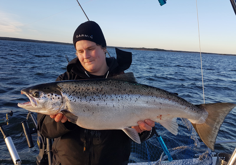  Mer funktioner i Fångstdatabanken ger mer kunskap