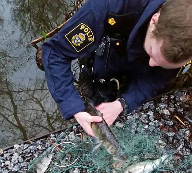 Polisen gjorde tillslag mot tjuvfiske vid Lillsjön